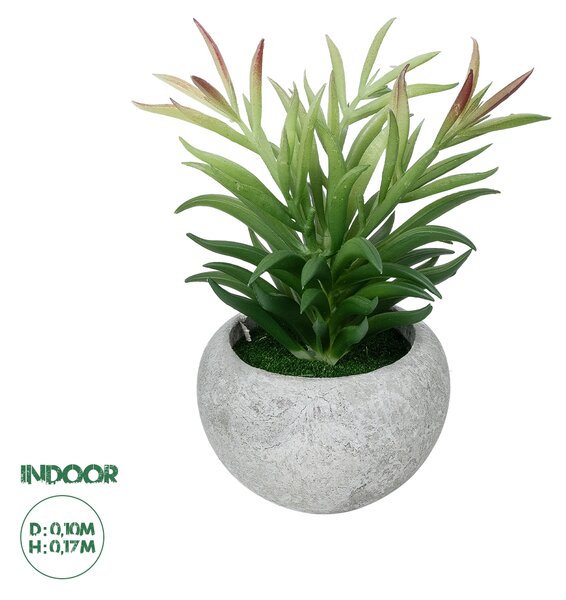 GloboStar® Artificial Garden SUCCULENT CRASSULA POTTED PLANT 21038 Διακοσμητικό Φυτό Κρασούλα Φ10 x Υ17cm