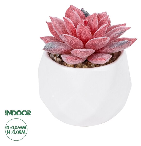 GloboStar® Artificial Garden SUCCULENT SEDEVERIA POTTED PLANT 20989 Διακοσμητικό Φυτό Σεδεβέρια Φ6,5 x Υ8cm