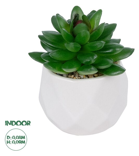 GloboStar® Artificial Garden SUCCULENT SEDEVERIA POTTED PLANT 21002 Διακοσμητικό Φυτό Σεδεβέρια Φ8 x Υ9cm