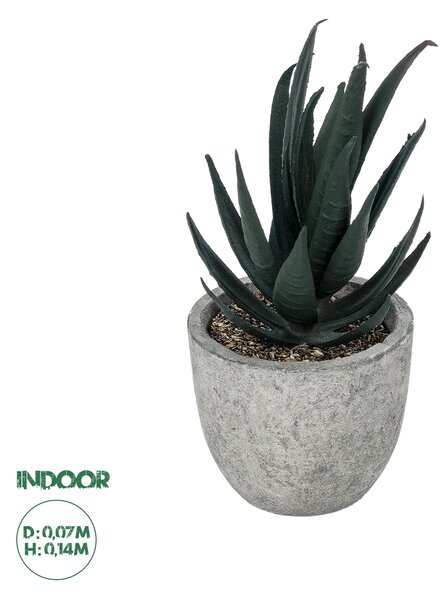 GloboStar® Artificial Garden SUCCULENT ALOE POTTED PLANT 21007 Διακοσμητικό Φυτό Αλόη Φ7 x Υ14cm