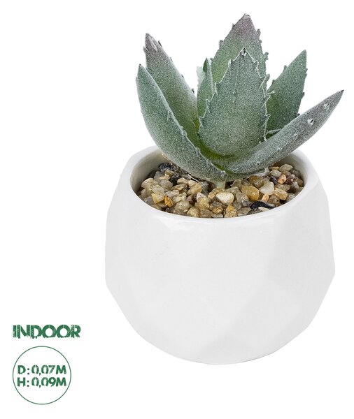 GloboStar® Artificial Garden SUCCULENT ALOE POTTED PLANT 20999 Διακοσμητικό Φυτό Αλόη Φ7 x Υ9cm