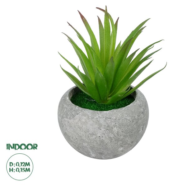 GloboStar® Artificial Garden AIR PLANT TILLANDSIA POTTED PLANT 21036 Διακοσμητικό Φυτό Τιλάντσια Φ12 x Υ15cm