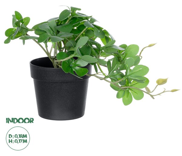 GloboStar® Artificial Garden SCHEFFLERA PLANT 20954 Διακοσμητικό Φυτό Σεφλέρα Φ18 x Υ17cm