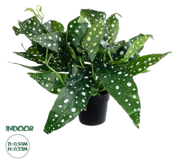 GloboStar® Artificial Garden BEGONIA POLKA DOT PLANT 20959 Διακοσμητικό Φυτό Βιγόνια Φ50 x Υ22cm