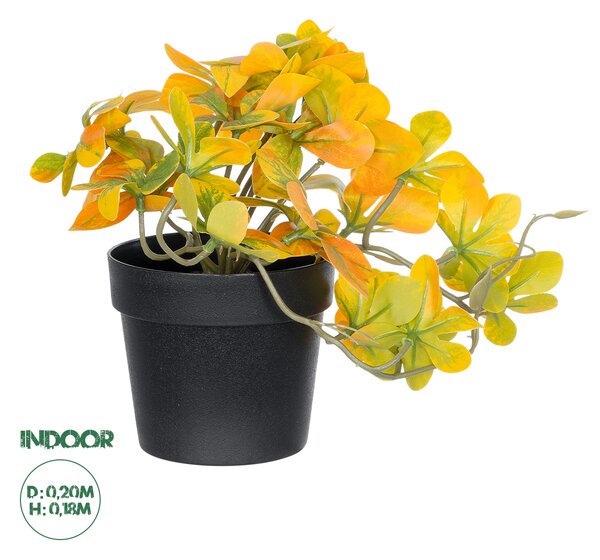 GloboStar® Artificial Garden SCHEFFLERA MIX PLANT 20955 Διακοσμητικό Φυτό Σεφλέρα Φ20 x Υ18cm