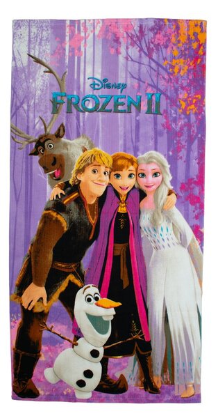 Παιδική Πετσέτα Θαλάσσης Microfiber (70x140) Dimcol Frozen 707 Purple