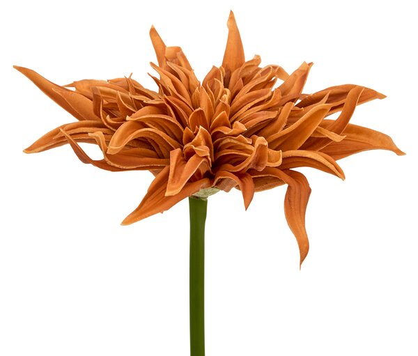 Τεχνητό Λουλούδι 55εκ. A-S Homy 218933 Orange