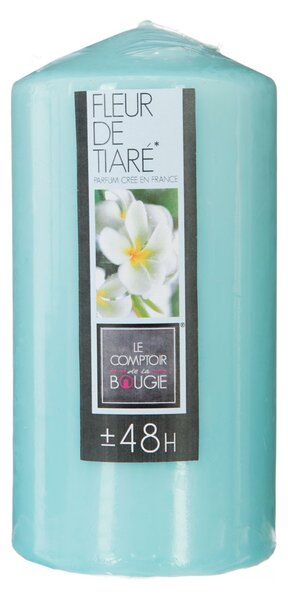 Κερί Αρωματικό 395gr (Φ7x14) C-B Nina Fleur De Tiare 123304I