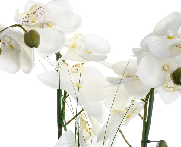 Τεχνητό Λουλούδι Σε Γλάστρα (Φ47x56) A-S White Orchid 136510B