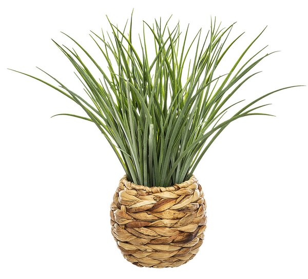 Τεχνητό Φυτό Σε Γλάστρα (Φ19x48.5) A-S Grass 168588