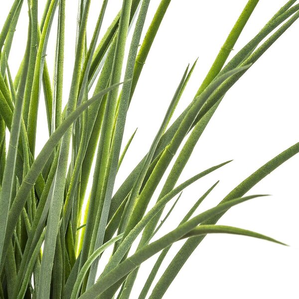 Τεχνητό Φυτό Σε Γλάστρα (Φ19x48.5) A-S Grass 168588