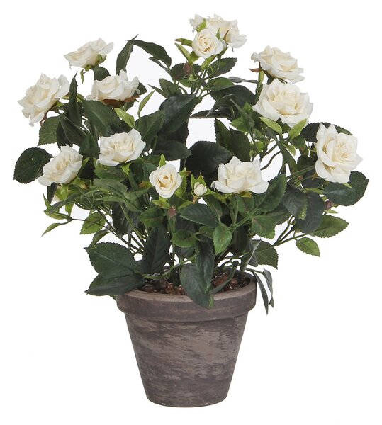 Τεχνητό Λουλούδι Σε Γλάστρα 33εκ. Edelman Rosebush White 948334