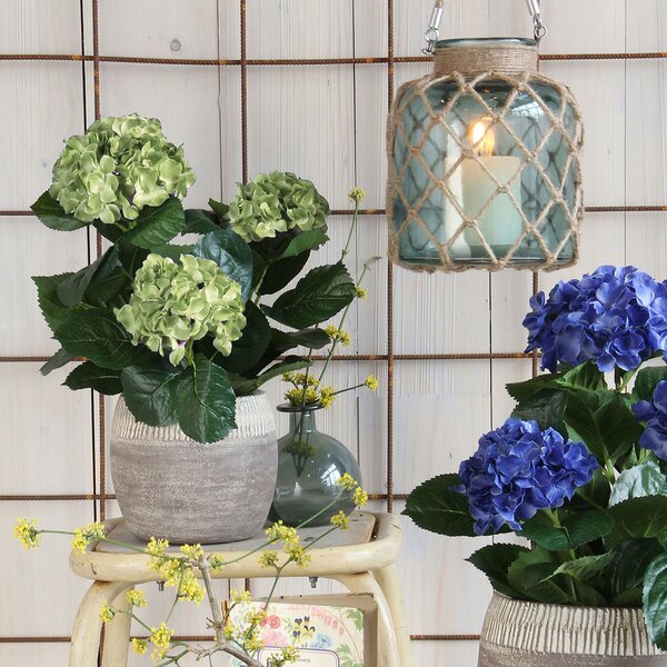 Τεχνητό Λουλούδι Σε Γλάστρα 45εκ. Edelman Hortensia Cream 947273