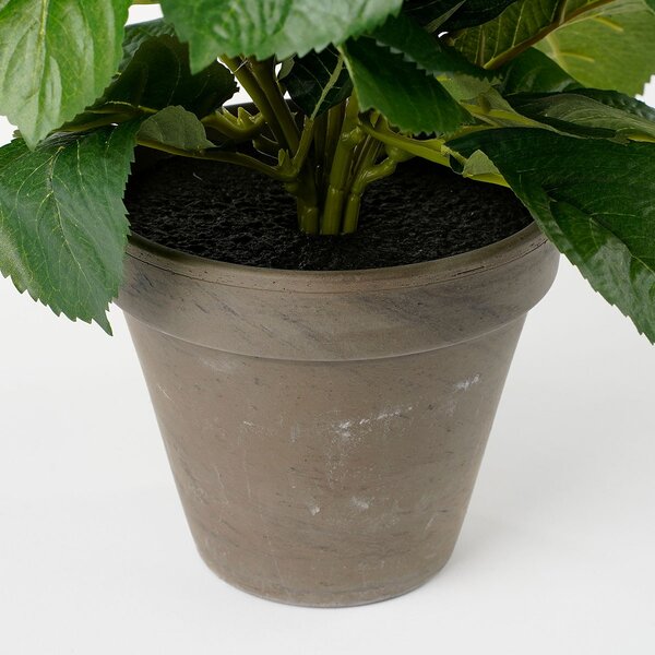 Τεχνητό Λουλούδι Σε Γλάστρα 45εκ. Edelman Hortensia Cream 947273