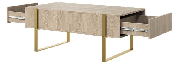 Τραπεζάκι Σαλονιού Vera 120x48x60cm Δρυς Oak + Χρυσά Πόδια με 2 συρτάρια - BOG4589