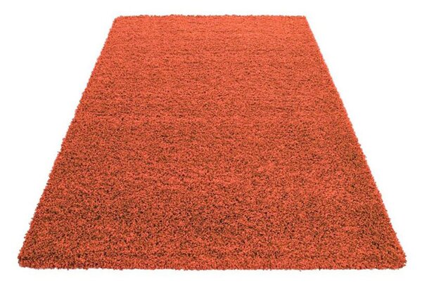 Χαλί (200x250) Spitishop Lanoso 5500B Terracotta
