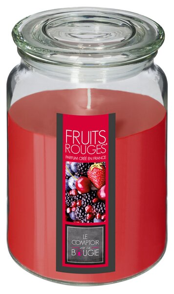 Κερί Αρωματικό 510gr (Φ10x14.5) C-B Nina Red Fruits 157747H