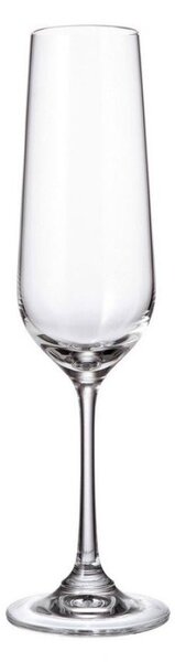 Ποτήρι Σαμπάνιας Κολωνάτο 200ml Crystal Bohemia Strix