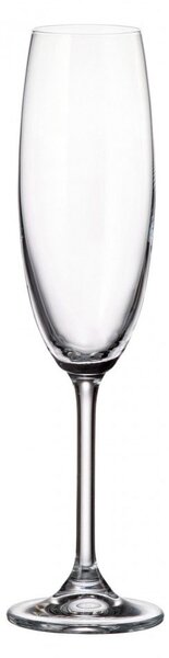 Ποτήρι Σαμπάνιας Κολωνάτο 220ml Crystal Bohemia Colibri