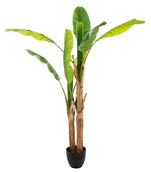 Τεχνητό Δέντρο Μπανανιά (122x119x130) A-S Banana Pot 167300