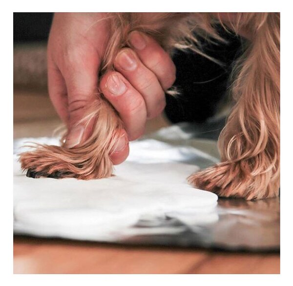 Κορνίζα Αποτύπωμα (29x19) Pearhead Pawprints PH-83033