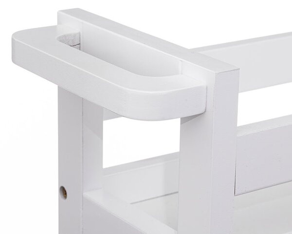 Τρόλεϊ/Ραφιέρα 3 Θέσεων (40x15.5x75) F-V Wheels Trolley Cotton 174762I