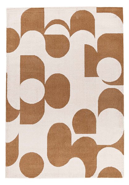 Χαλί (160x230) Royal Carpet Century 894B Terra