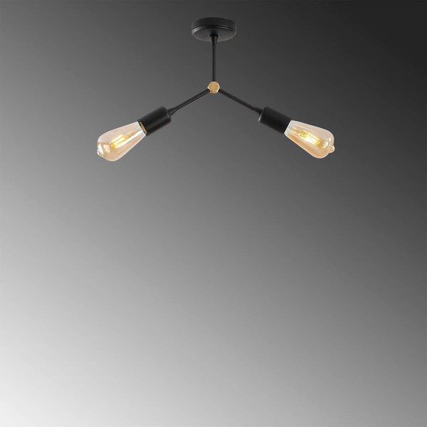 Φωτιστικό Οροφής Δίφωτο A-G Sparrow 584TTM1255 Black