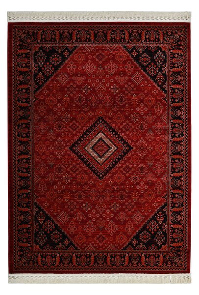 Χαλί (100x160) Royal Carpet Afgan 306A D.Red Black